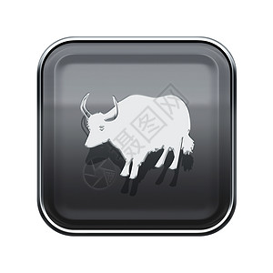 牛图标Ox Zodiac 图标灰色 孤立在白色背景上背景