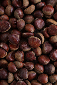 栗子小吃食品感恩坚果种子食物棕色零食季节性背景图片
