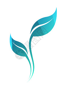 橡木林隔绝在林地上的春绿树叶的矢量电方向双光周橡木标识蓝色曲线植物插图品牌海洋咖啡生态插画