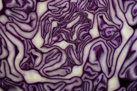 卷心菜迷宫食物红色蔬菜线条背景图片
