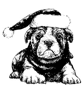 戴帽子的斗牛犬插图草图哺乳动物涂鸦手绘黑与白小狗红帽朋友动物背景图片