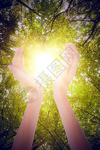 妇女双手露面的复合形象 女性森林手势风景自由绿色生命树木叶子场景生长背景图片