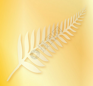 佳沛金奇异果新西兰的银 Fern 背景植物艺术金子黑色白色插图国家绘画蕨类叶子插画
