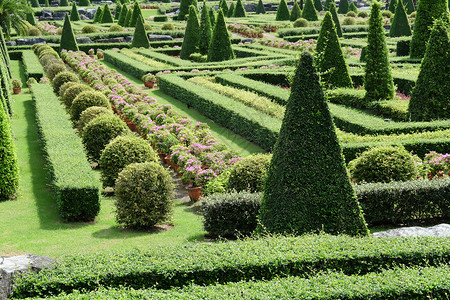 英国正规花园顶级礼仪水平小径园景前院风格衬套石径植物园园林后院背景图片