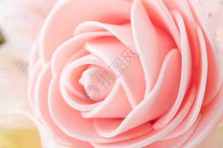 玫瑰中心宏观婚礼柔软度植物群红色新娘美术粉色请柬背景图片