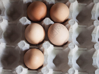鸡蛋盒子5个鸡蛋的特制鸡蛋盘生产营养母鸡宏观托盘动物早餐产品团体食物背景