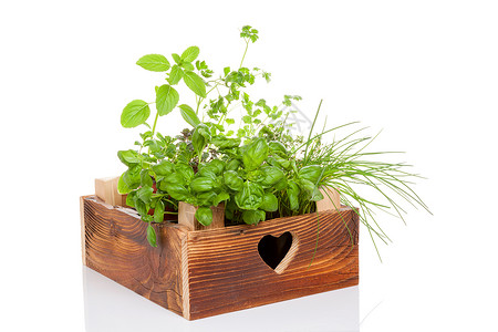 置物箱木箱里的草药香料季节性迷迭香花园烹饪园艺百里香盒子草本植物绿色背景