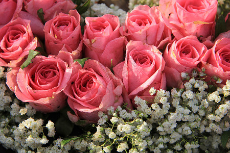 粉红玫瑰和婴儿呼吸花束绿色植物群花朵婚礼新娘粉色装饰品婚姻团体中心背景图片