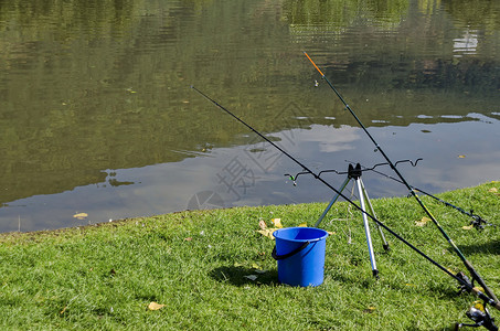 湖边的草湖边的渔竿背景