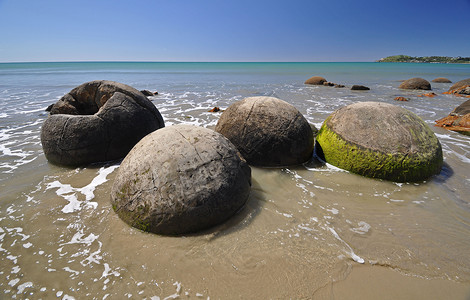 新西兰海景海滩海洋圆形海岸沿海岩石石头潮汐旅游高清图片