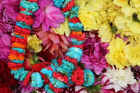 加尔各答的鲜花市场装饰品茉莉花精神橙子兰花花环旅行宗教奉献小贩背景图片