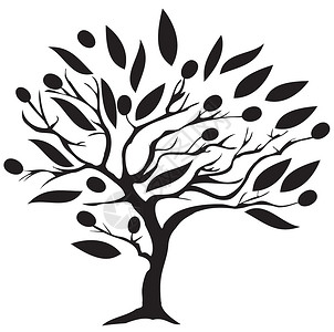 老橄榄树橄榄树文化水果绘画生活树叶曲线液体食物木头叶子设计图片