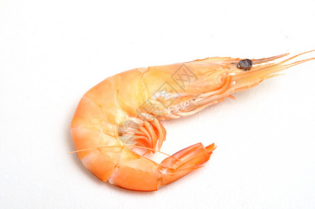 热带虾甲壳纲海洋美味海鲜食物甲壳动物背景图片