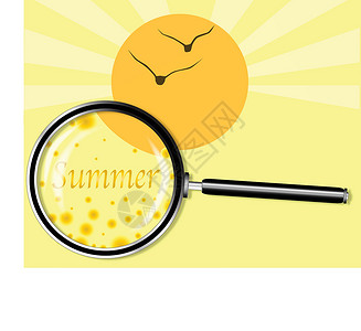 夏季在放大镜下季节考试射线阳光描写幼苗插图季节性种子玻璃背景图片