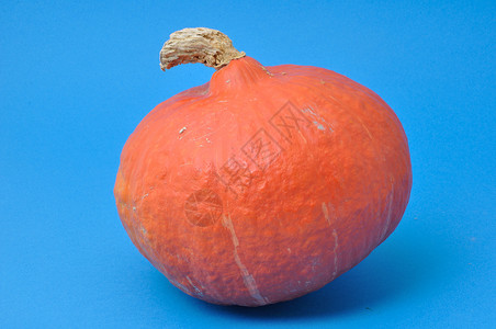 南瓜美食产品季节橙色南瓜蔬菜壁球背景图片