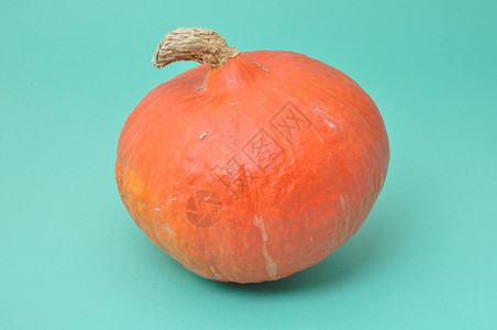 南瓜橙色美食南瓜产品壁球蔬菜季节背景图片