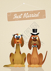 狗的婚姻背景图片