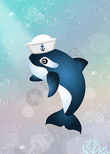 十二星座水瓶座戴水手帽的虎鲸动物海上生活插图水手海洋背景