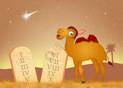 十进制的表格中哺乳动物圣经骆驼祷告问答插图动物文化沙漠宗教背景图片