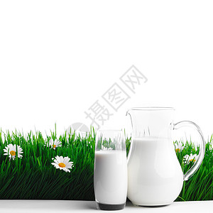 花地上的牛奶罐和玻璃杯产品奶制品白色洋甘菊绿色环境乡村雏菊牧场农场背景图片
