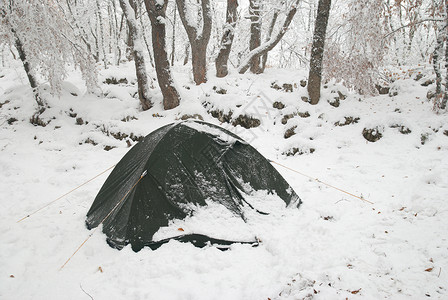 森林中的冬季营地天空旅行大雪顶峰蓝色荒野旅游运动冒险季节冰高清图片素材