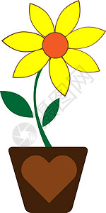 孤立的黄色花朵插图背景图片