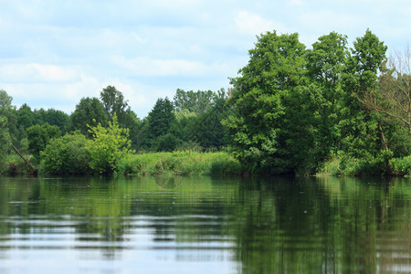 河流太阳风景木头生态叶子季节溪流森林公园荒野云高清图片素材