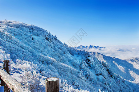 韩国妹子柳智惠风景优美的下雪的高清图片