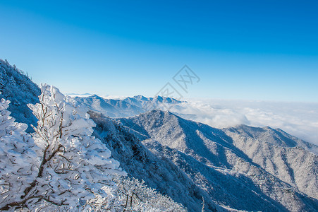 韩国妹子柳智惠雪岳山下雪的高清图片