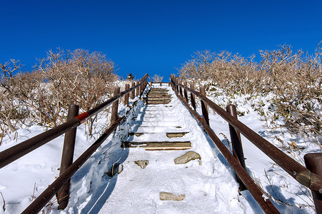 手绘木栏杆冬天在山坡上登木楼梯 南韩的德州山背景