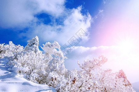 韩国妹子柳智惠风景优美的下雪的高清图片