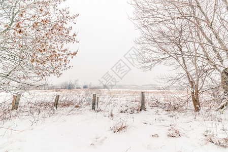 带围栏的乡村冬季风景背景图片