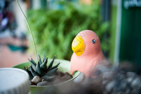 自然界的鸟类雕像绿色背景友谊花园恋人夫妻白色鸽子背景图片