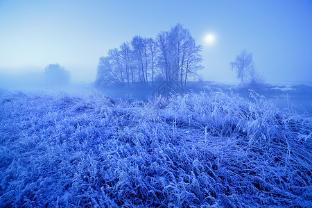 月光的冬雾夜 在草地上落雪和冻霜高清图片