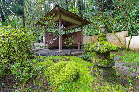 波特兰日本花园日本花园木材掩蔽所背景