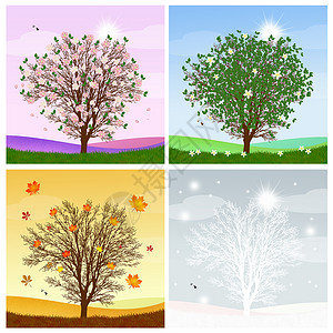 四季的树木花朵插图拼贴画太阳植物树叶分支机构背景图片
