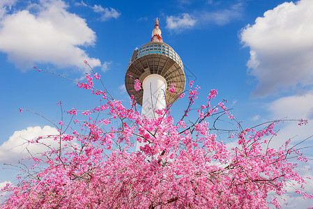 韩国南山塔盛开四月高清图片