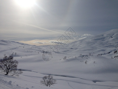 挪威语滑雪天堂背景