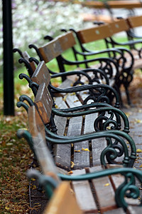 奥地利维也纳公园内奥地利维也纳的旧长椅背景图片