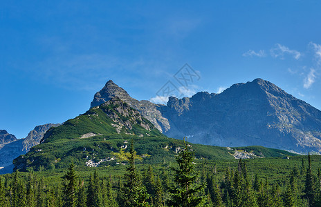 塔特拉斯高原山脉的岩峰顶峰云杉天空针叶植物森林山脉背景图片