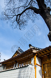 韩国传统风格的建筑房子旅行建筑学游客地标文化房屋村庄背景图片