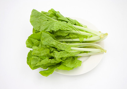 在菜盘上生菜蔬菜白色莴苣长叶叶子工作室食物植物绿色外邦沙拉背景图片