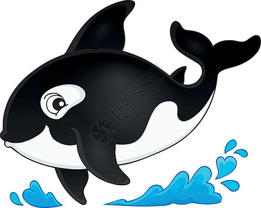 Orca 主题图像 1插画