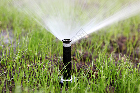 自动水喷洒灭水器草皮技术植物环境农业园艺院子场地太阳花园背景图片