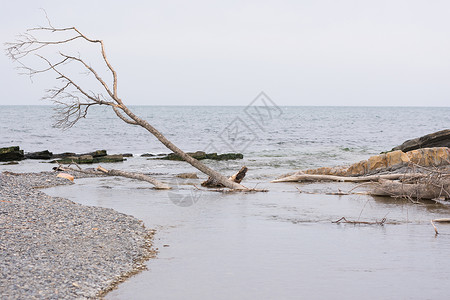 mouth流入黑海的河水Sukko Mouth背景