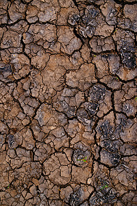 地球土地干燥 lan 中的土壤干旱和泥裂缝背景