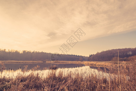 日出时的宁静湖湿地高清图片素材