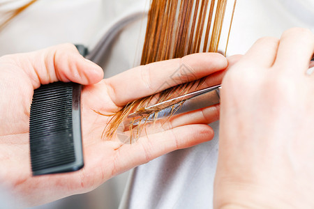 理发梳子剪刀金发护理发型治疗职业女性理发师头发手高清图片素材