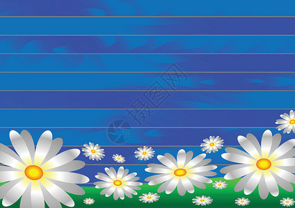 草地上的白花是蓝板木制背景的 矢量插图背景图片