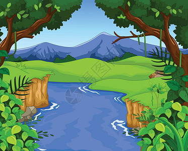 亚马逊森林有河流的绿林插画